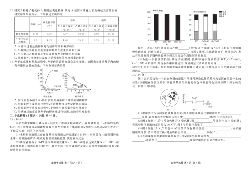 湖北省衡水金卷2026届高三上学期12月联考生物_2024-2026高三（6-6月题库）_2025年12月高三试卷_251229湖北省衡水金卷2026届高三上学期12月联考（全）