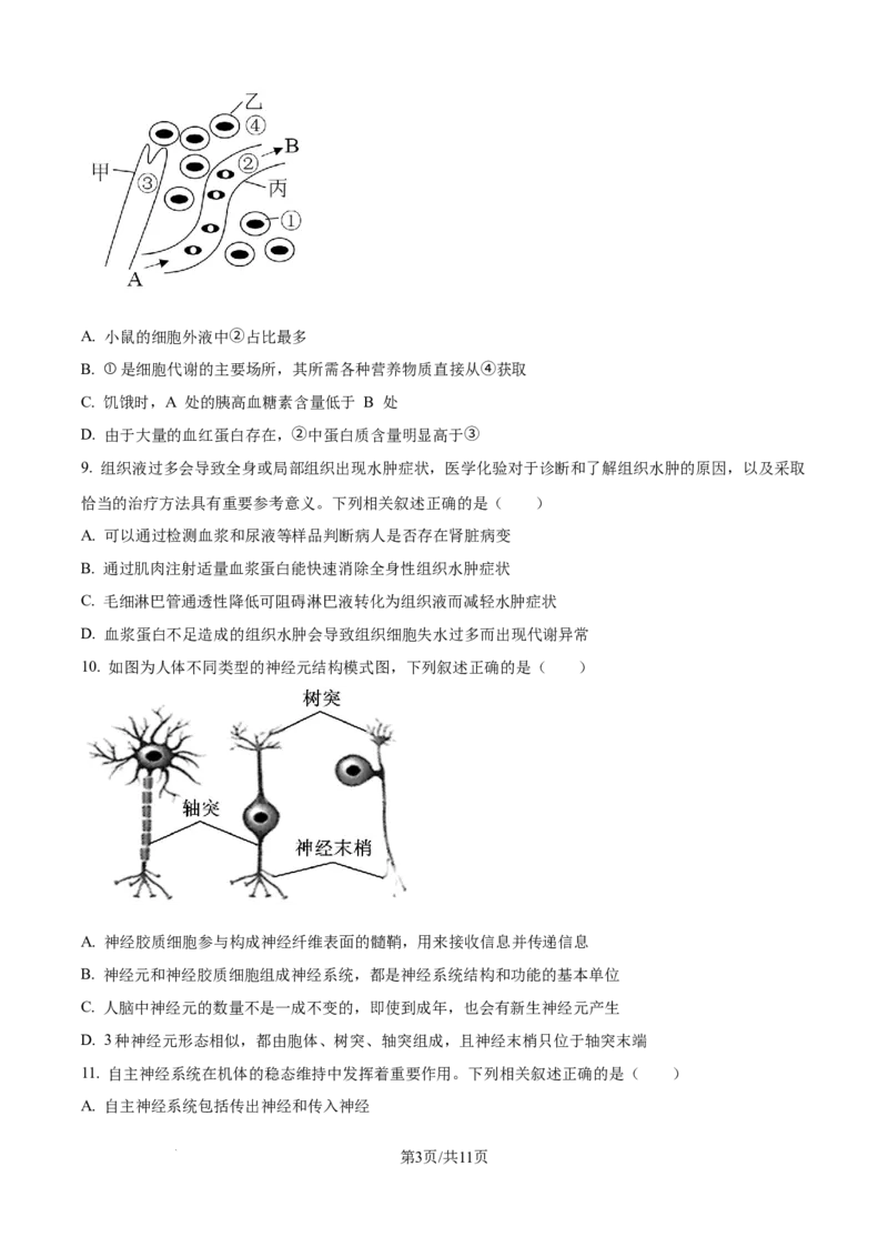 精品解析：天津市滨海新区北京师范大学天津生态城附属学校2025-2026学年高二上学期10月月考生物试题（原卷版）_2025年11月高二试卷