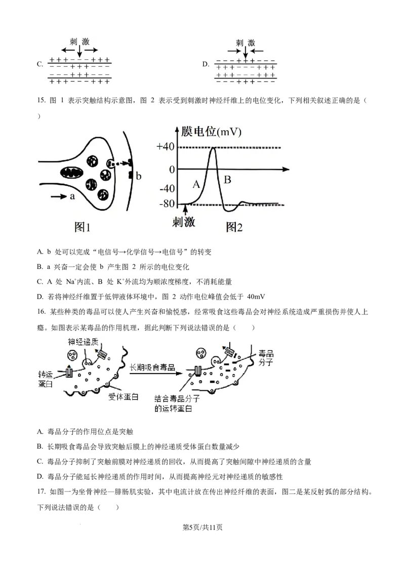 精品解析：天津市滨海新区北京师范大学天津生态城附属学校2025-2026学年高二上学期10月月考生物试题（原卷版）_2025年11月高二试卷