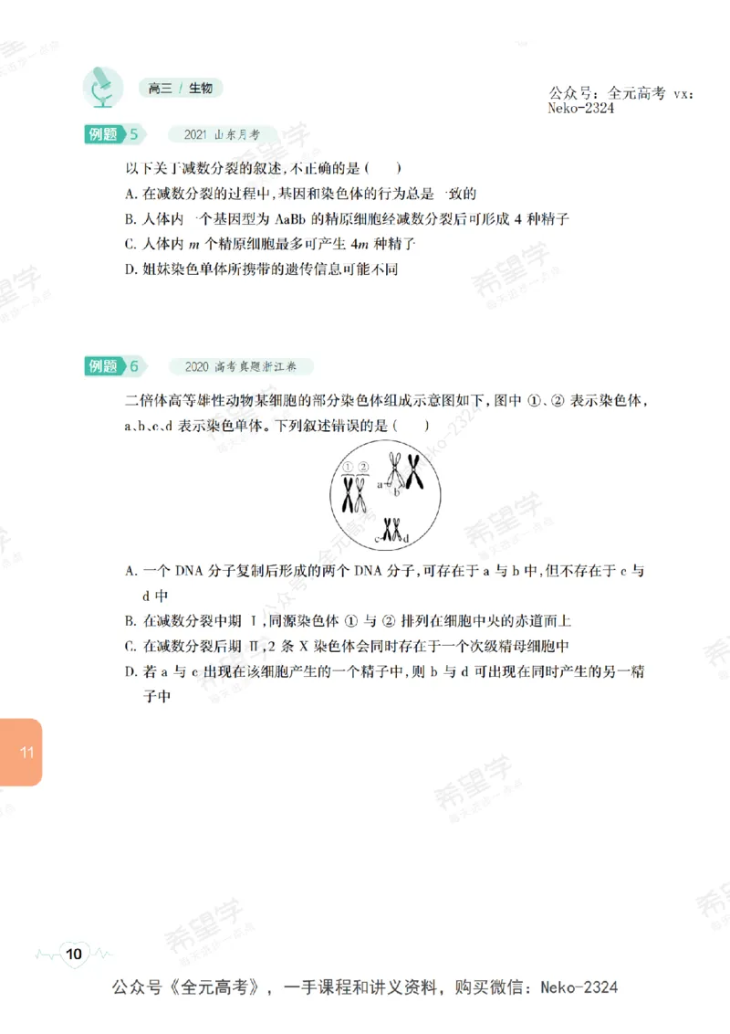 高三生物培训班学习用书（秋季第二册-全国版-S）-正文_2024-2025高三（6-6月题库）_2024年09月试卷_段麟飞