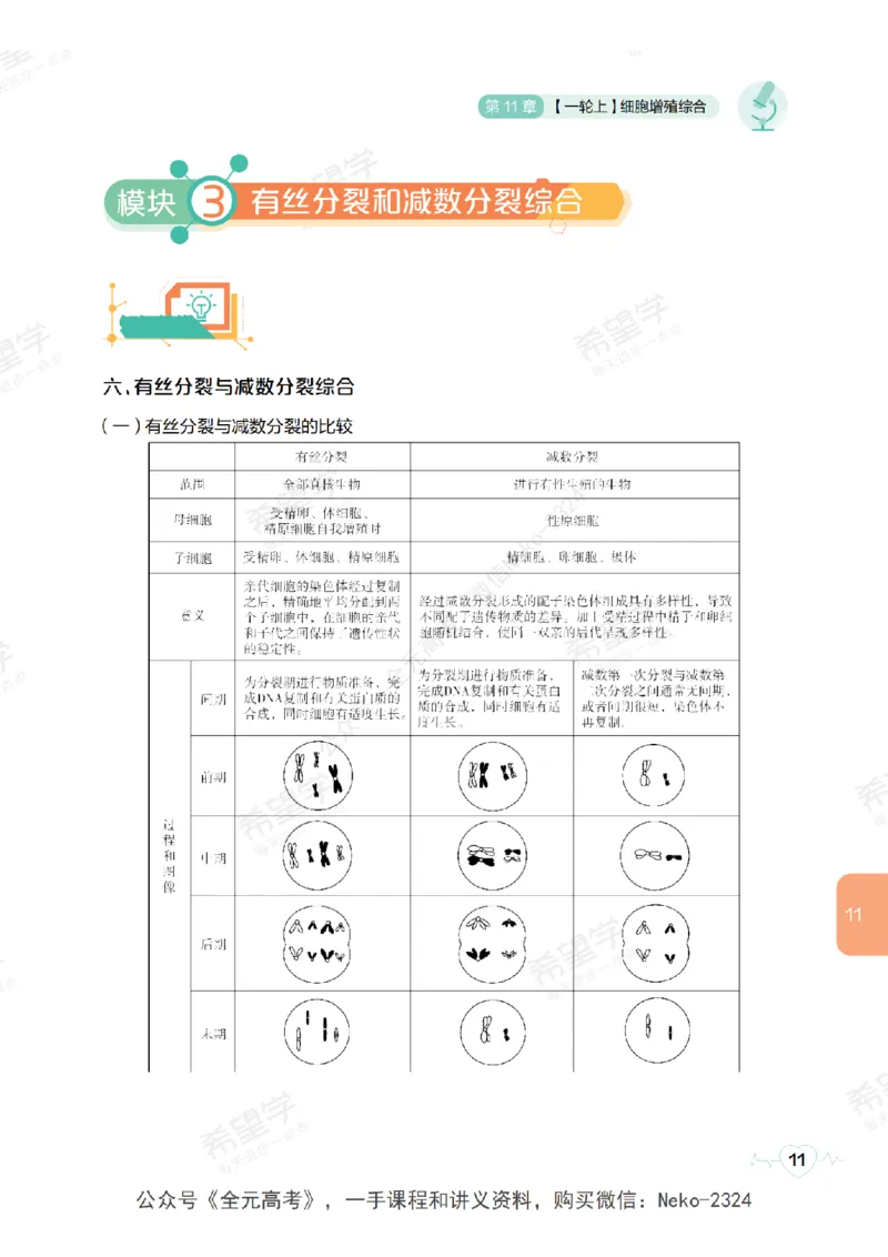 高三生物培训班学习用书（秋季第二册-全国版-S）-正文_2024-2025高三（6-6月题库）_2024年09月试卷_段麟飞