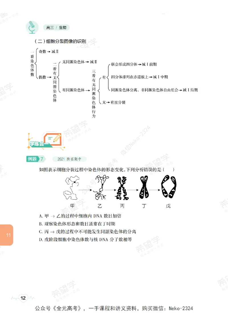 高三生物培训班学习用书（秋季第二册-全国版-S）-正文_2024-2025高三（6-6月题库）_2024年09月试卷_段麟飞