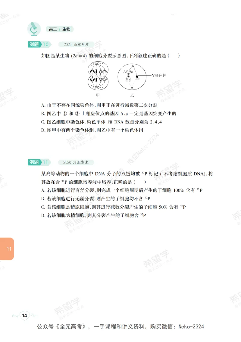 高三生物培训班学习用书（秋季第二册-全国版-S）-正文_2024-2025高三（6-6月题库）_2024年09月试卷_段麟飞