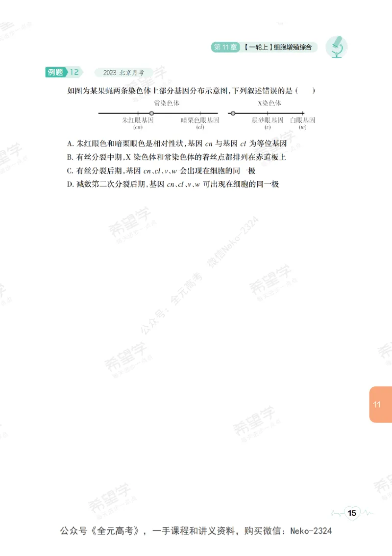 高三生物培训班学习用书（秋季第二册-全国版-S）-正文_2024-2025高三（6-6月题库）_2024年09月试卷_段麟飞