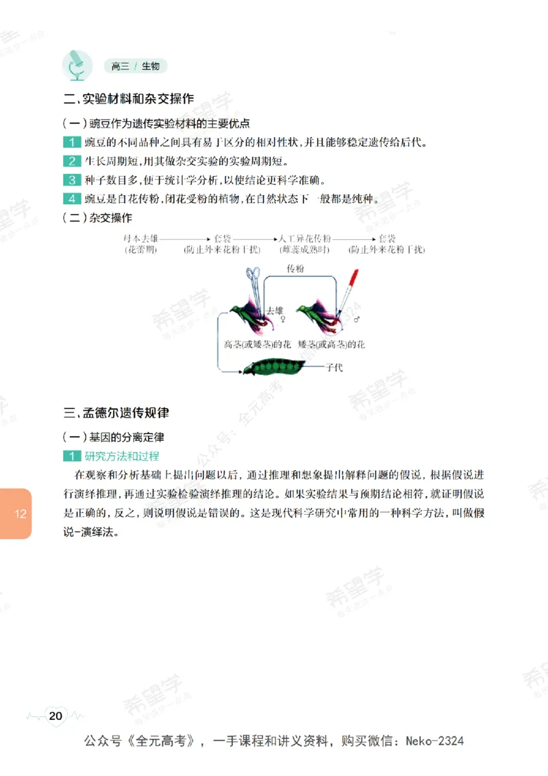 高三生物培训班学习用书（秋季第二册-全国版-S）-正文_2024-2025高三（6-6月题库）_2024年09月试卷_段麟飞