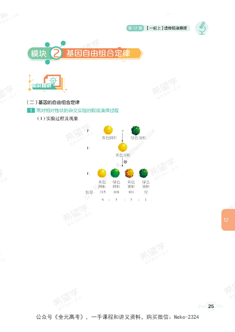 高三生物培训班学习用书（秋季第二册-全国版-S）-正文_2024-2025高三（6-6月题库）_2024年09月试卷_段麟飞