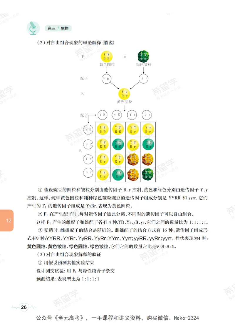 高三生物培训班学习用书（秋季第二册-全国版-S）-正文_2024-2025高三（6-6月题库）_2024年09月试卷_段麟飞