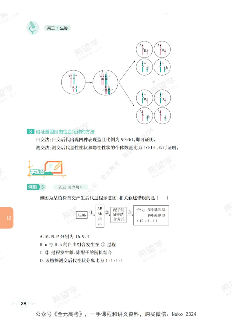 高三生物培训班学习用书（秋季第二册-全国版-S）-正文_2024-2025高三（6-6月题库）_2024年09月试卷_段麟飞