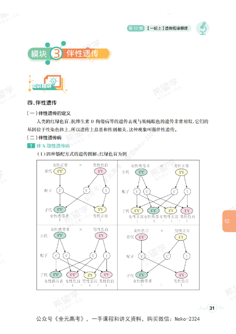 高三生物培训班学习用书（秋季第二册-全国版-S）-正文_2024-2025高三（6-6月题库）_2024年09月试卷_段麟飞