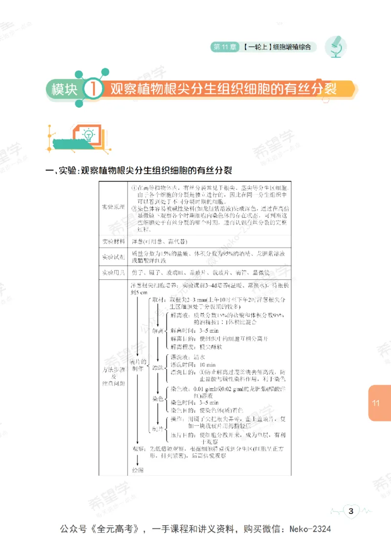 高三生物培训班学习用书（秋季第二册-全国版-S）-正文_2024-2025高三（6-6月题库）_2024年09月试卷_段麟飞