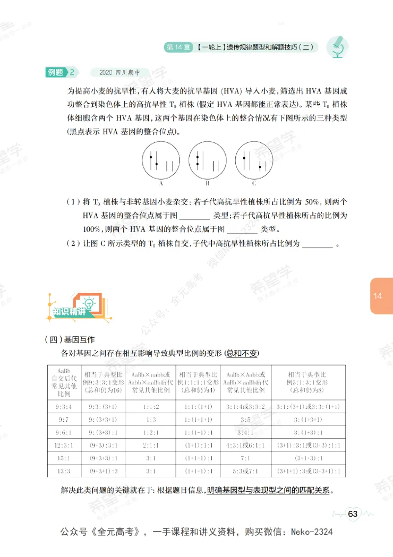 高三生物培训班学习用书（秋季第二册-全国版-S）-正文_2024-2025高三（6-6月题库）_2024年09月试卷_段麟飞