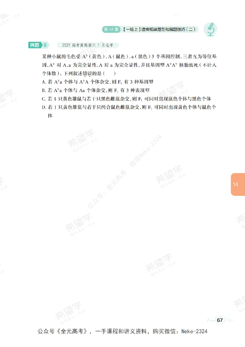 高三生物培训班学习用书（秋季第二册-全国版-S）-正文_2024-2025高三（6-6月题库）_2024年09月试卷_段麟飞