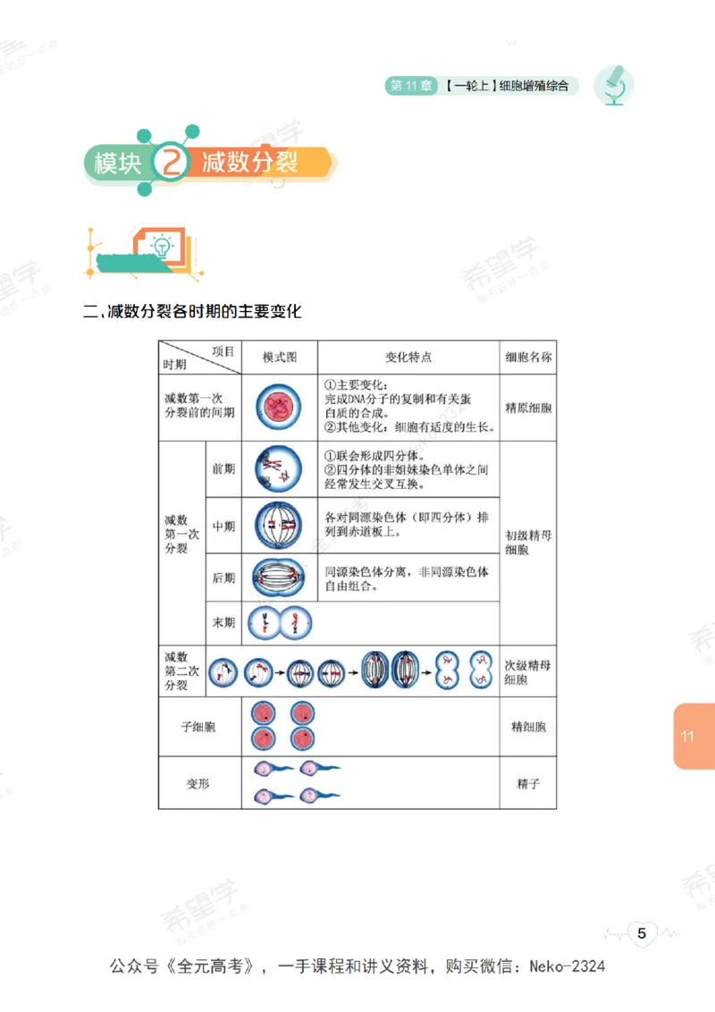 高三生物培训班学习用书（秋季第二册-全国版-S）-正文_2024-2025高三（6-6月题库）_2024年09月试卷_段麟飞
