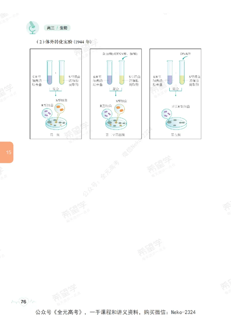 高三生物培训班学习用书（秋季第二册-全国版-S）-正文_2024-2025高三（6-6月题库）_2024年09月试卷_段麟飞