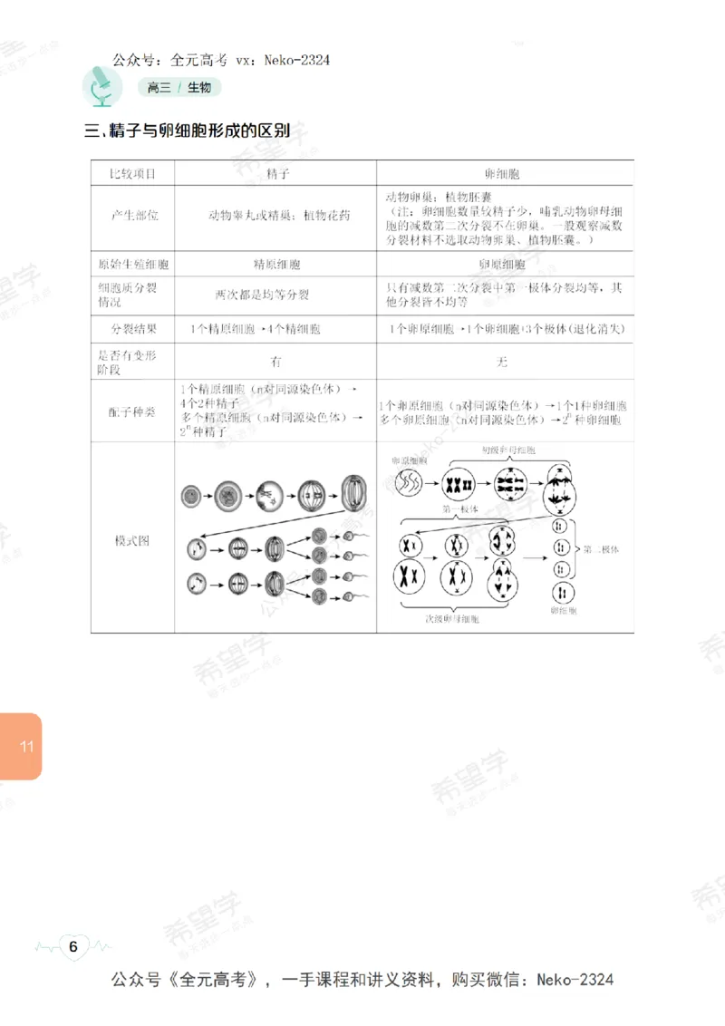 高三生物培训班学习用书（秋季第二册-全国版-S）-正文_2024-2025高三（6-6月题库）_2024年09月试卷_段麟飞