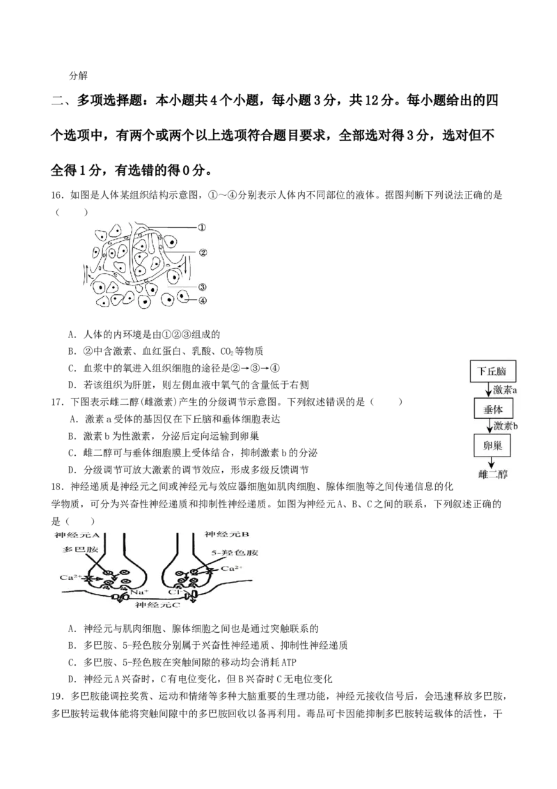 江苏省盐城市五校联考2025-2026学年高二上学期10月第一次联考试题生物Word版含答案_2025年10月高二试卷_251026江苏省盐城市五校联考2025-2026学年高二上学期10月第一次联考试题（全）