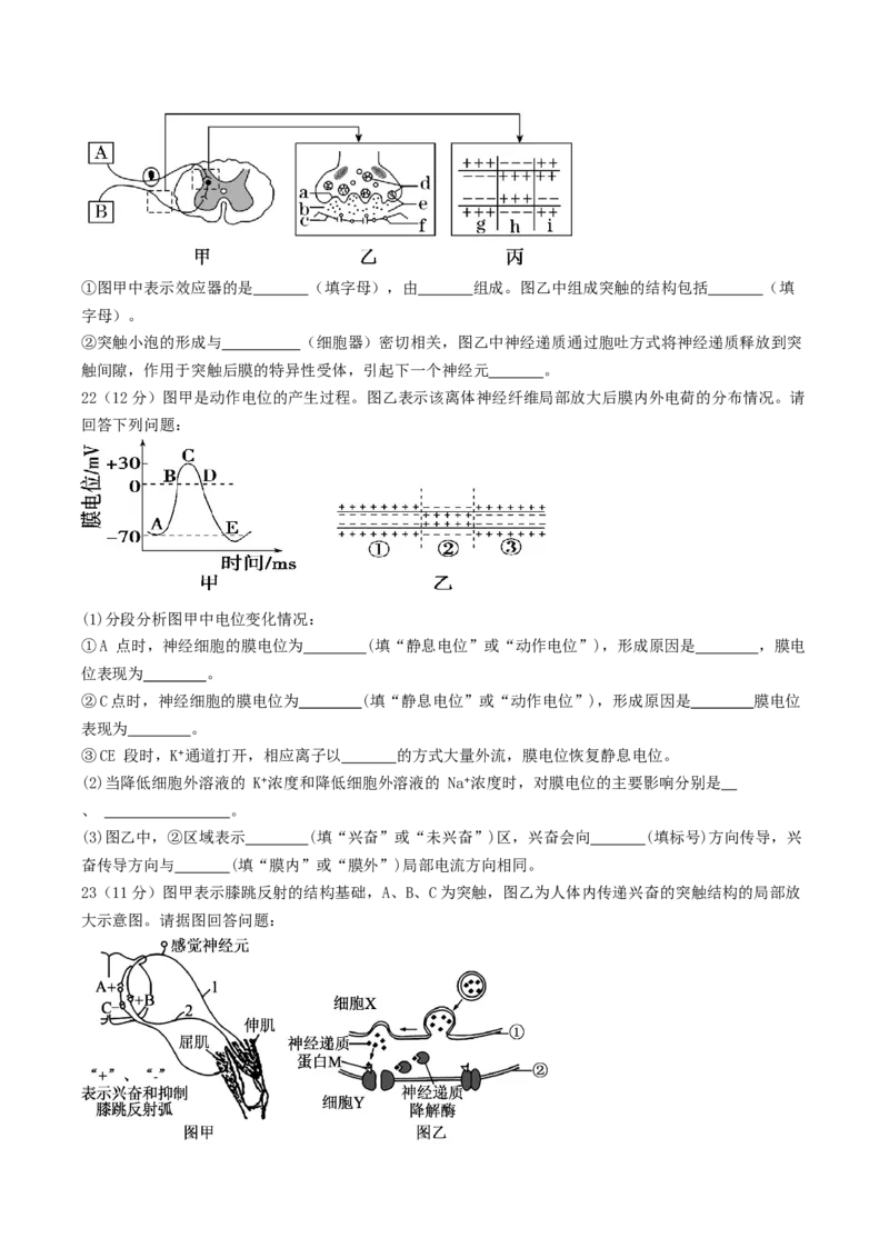 江苏省盐城市五校联考2025-2026学年高二上学期10月第一次联考试题生物Word版含答案_2025年10月高二试卷_251026江苏省盐城市五校联考2025-2026学年高二上学期10月第一次联考试题（全）
