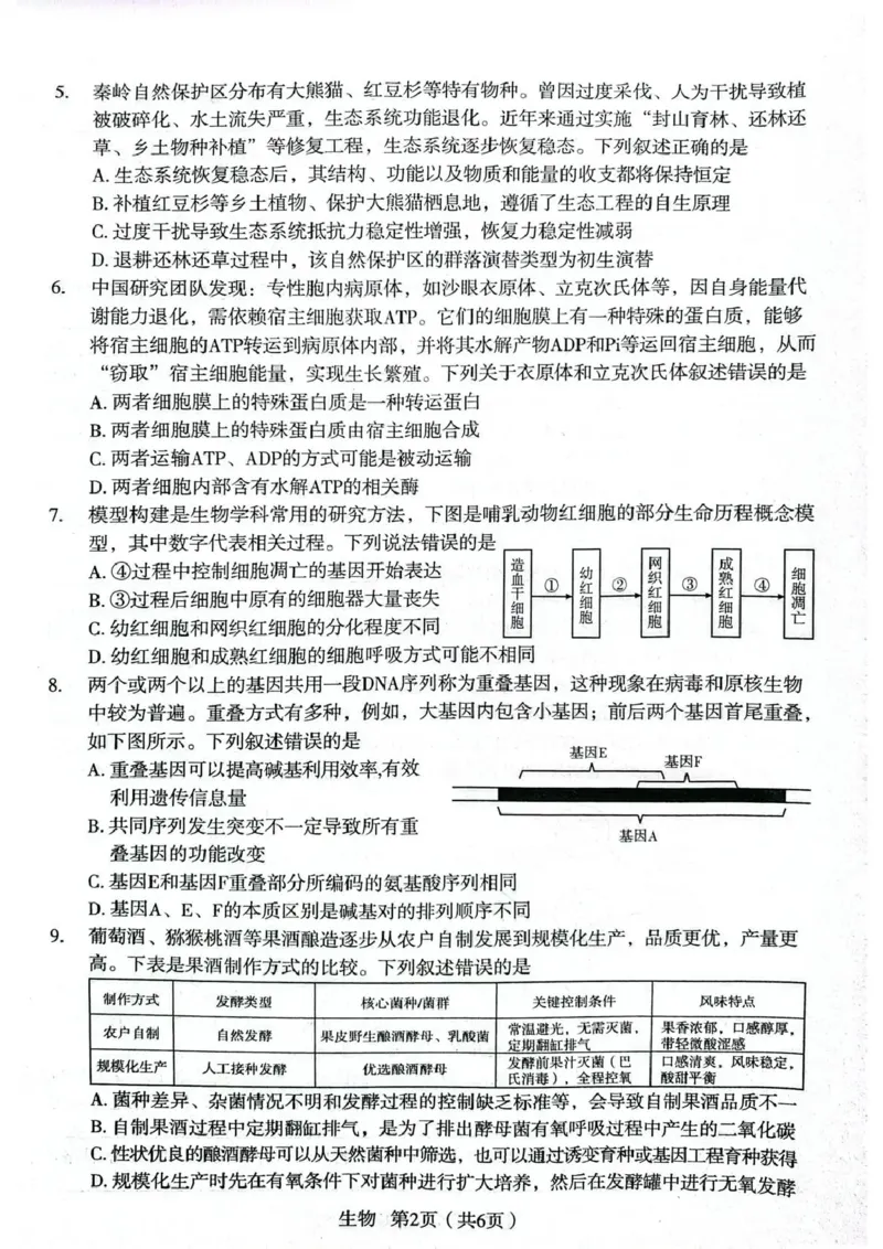 2026年宝鸡市高考模拟检测试题（一）生物_2024-2026高三（6-6月题库）_2026年01月高三试卷_0111陕西省2026年宝鸡市高考模拟检测试题（一）