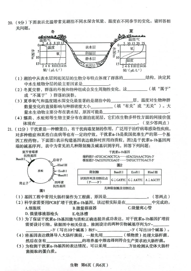 2026年宝鸡市高考模拟检测试题（一）生物_2024-2026高三（6-6月题库）_2026年01月高三试卷_0111陕西省2026年宝鸡市高考模拟检测试题（一）