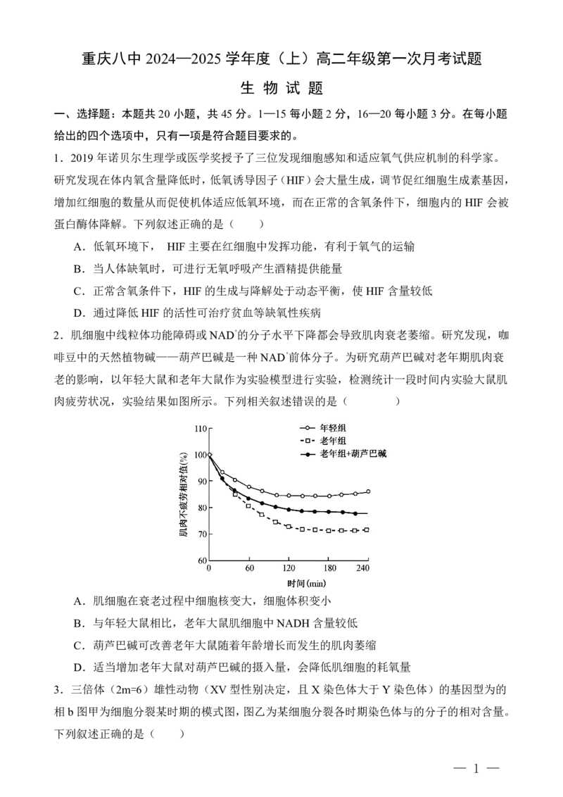 重庆八中高二第一次月考生物试卷及答案_2024-2025高二（7-7月题库）_2024年11月试卷_11012024-2025学年重庆八中高二10月月考
