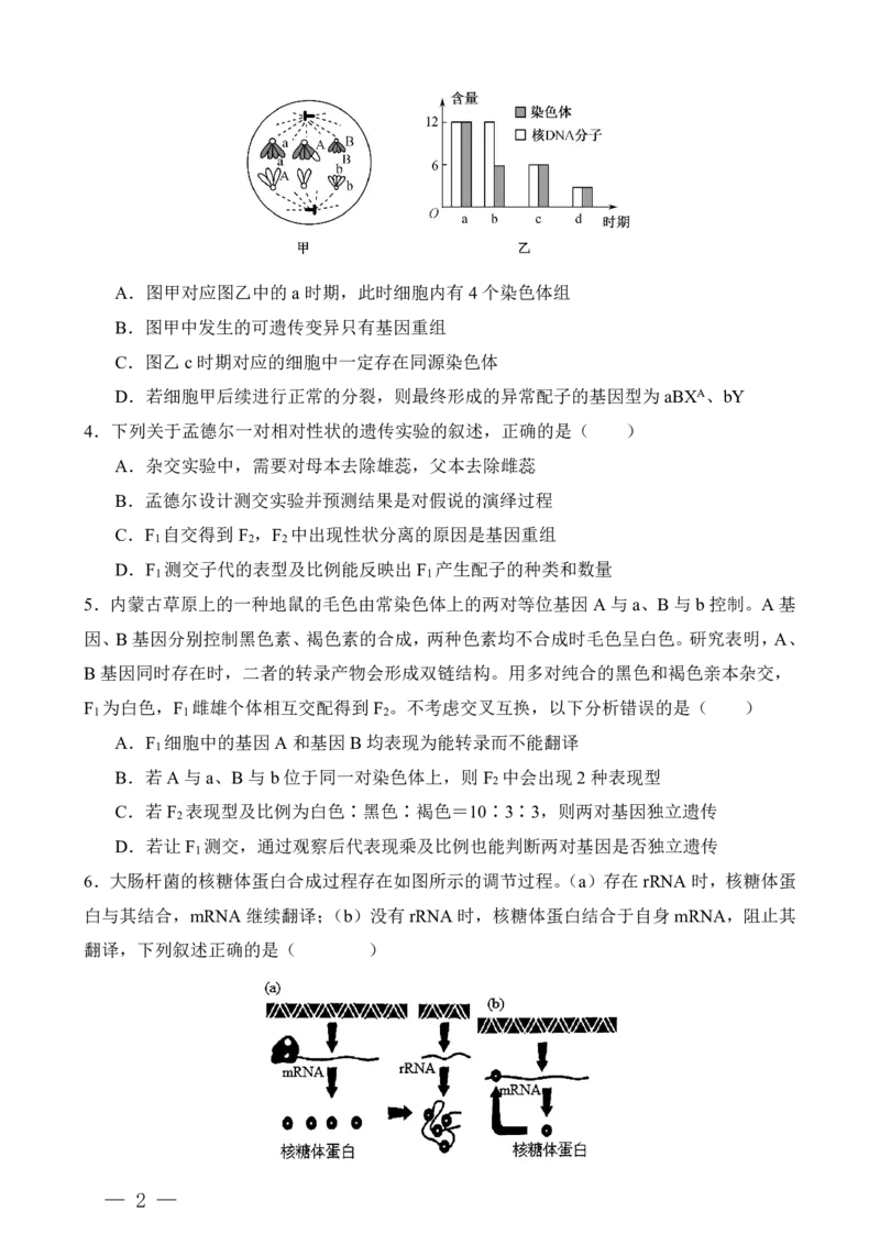 重庆八中高二第一次月考生物试卷及答案_2024-2025高二（7-7月题库）_2024年11月试卷_11012024-2025学年重庆八中高二10月月考