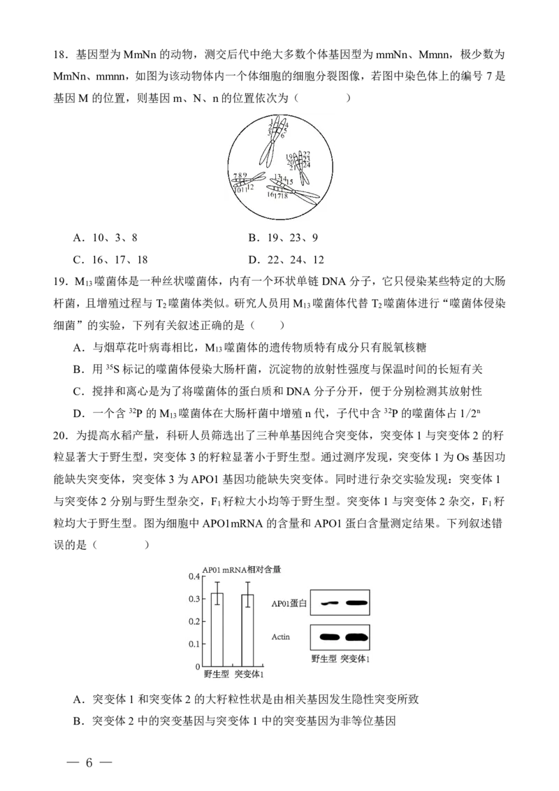 重庆八中高二第一次月考生物试卷及答案_2024-2025高二（7-7月题库）_2024年11月试卷_11012024-2025学年重庆八中高二10月月考