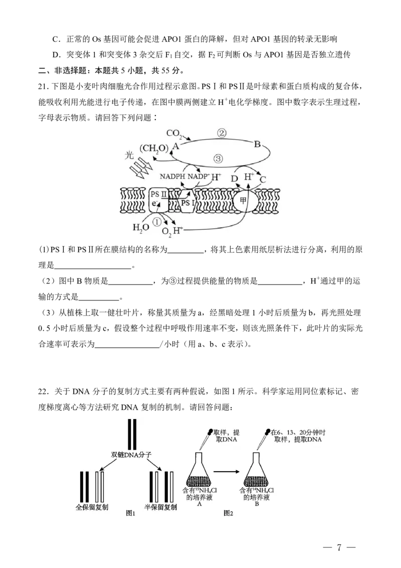 重庆八中高二第一次月考生物试卷及答案_2024-2025高二（7-7月题库）_2024年11月试卷_11012024-2025学年重庆八中高二10月月考