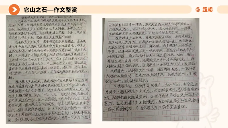 冰哥提出对策专项强化1_2026考公资料_超格合集_公考-夸夸刷2026超格行测+申论（五合一）夸夸刷刷题营_申论_1班_课件