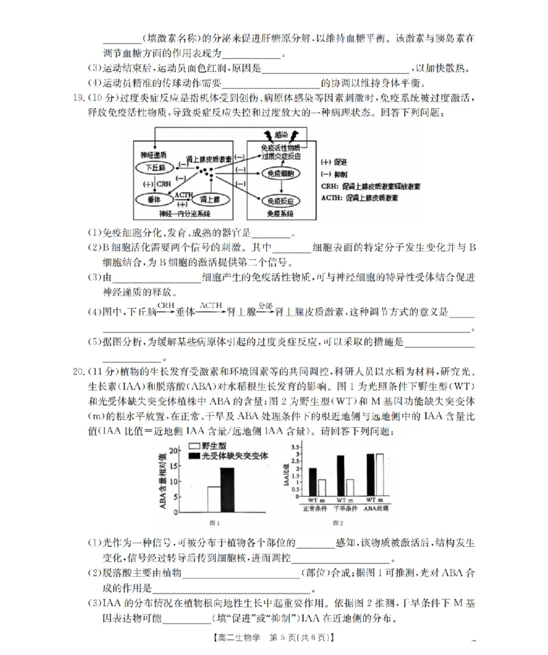 生物学_扫描版_2024-2025高二（7-7月题库）_2026年1月高二_260122贵州省黔东南州2025-2026学年高二上学期12月检测试卷（全）_贵州省黔东南州2025-2026学年高二上学期12月检测生物试题含答案