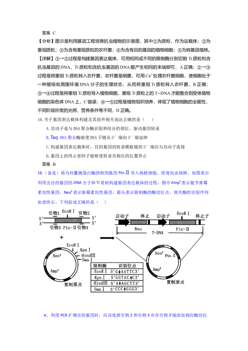 高二4月期中考试生物试题解析版_2024-2025高二（7-7月题库）_2025年05月试卷_0517河北省邯郸市武安市第一中学2024-2025学年高二下学期4月期中考试_高二4月期中生物