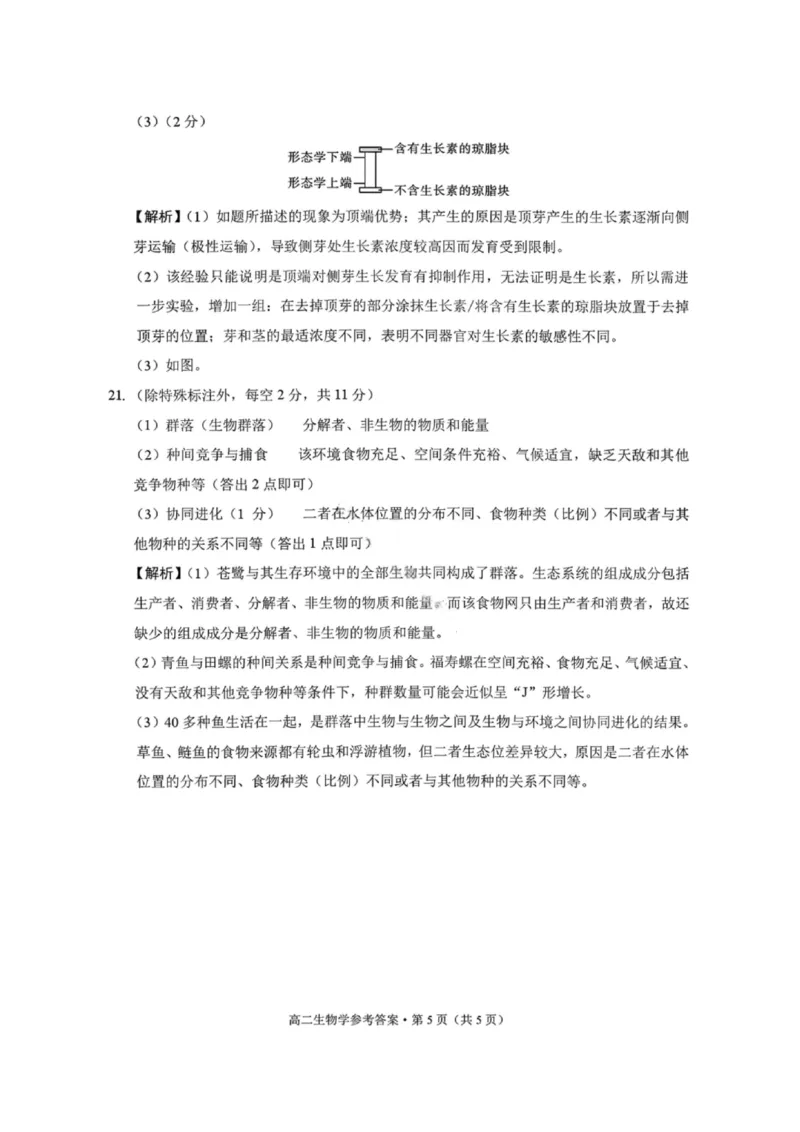 生物答案-贵阳市第一中学2027届高二上学期12月月考_251229贵阳市第一中学2027届高二上学期12月月考