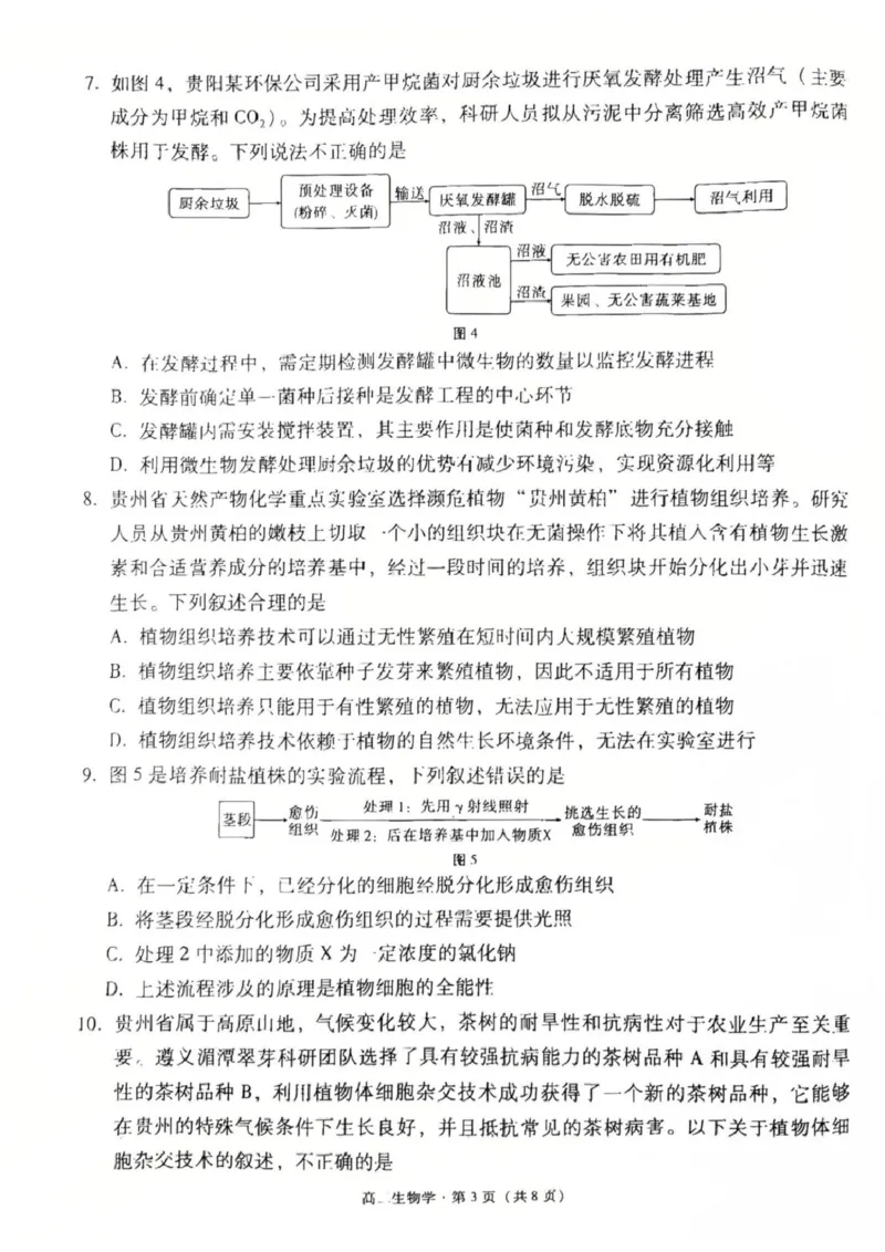 贵州省贵阳市六中联盟校2024-2025学年高二下学期4月联考生物试卷（扫描版含解析）_2024-2025高二（7-7月题库）_2025年05月试卷