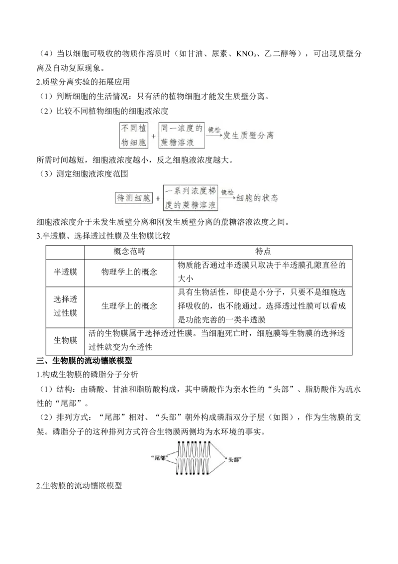 （3）细胞的物质输入和输出&mdash;&mdash;高考生物二轮复习易错重难提升（含解析）_2024-2025高三（6-6月题库）_2026年1月高三_260104高考生物二轮复习易错重难提升（含解析）
