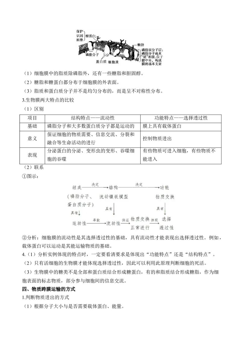 （3）细胞的物质输入和输出&mdash;&mdash;高考生物二轮复习易错重难提升（含解析）_2024-2025高三（6-6月题库）_2026年1月高三_260104高考生物二轮复习易错重难提升（含解析）