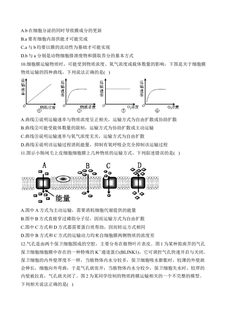 （3）细胞的物质输入和输出&mdash;&mdash;高考生物二轮复习易错重难提升（含解析）_2024-2025高三（6-6月题库）_2026年1月高三_260104高考生物二轮复习易错重难提升（含解析）