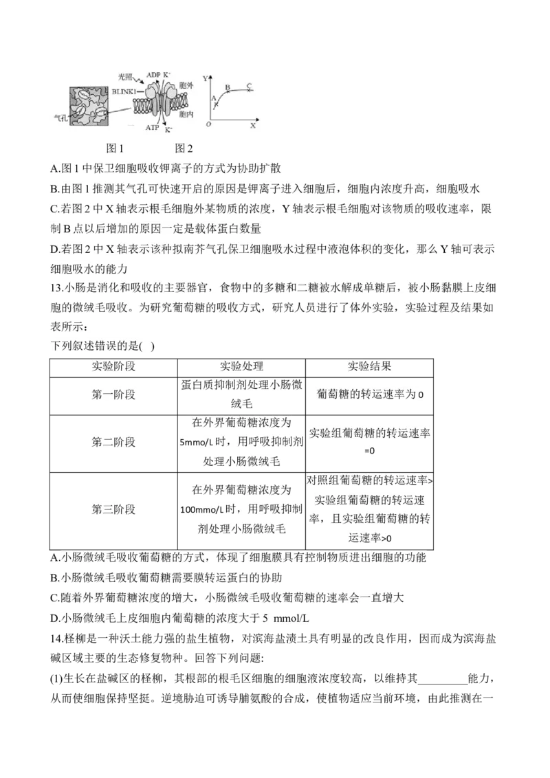 （3）细胞的物质输入和输出&mdash;&mdash;高考生物二轮复习易错重难提升（含解析）_2024-2025高三（6-6月题库）_2026年1月高三_260104高考生物二轮复习易错重难提升（含解析）