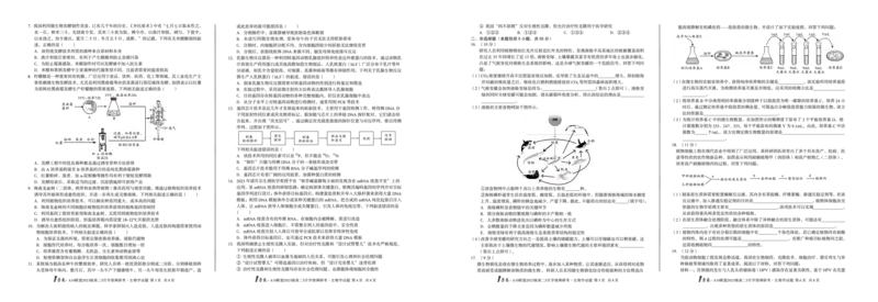 生物1号卷&middot;A10联盟2023级高二5月学情调研考_2024-2025高二（7-7月题库）_2025年6月试卷_0604安徽省1号卷&middot;A10联盟2023级高二5月学情调研考