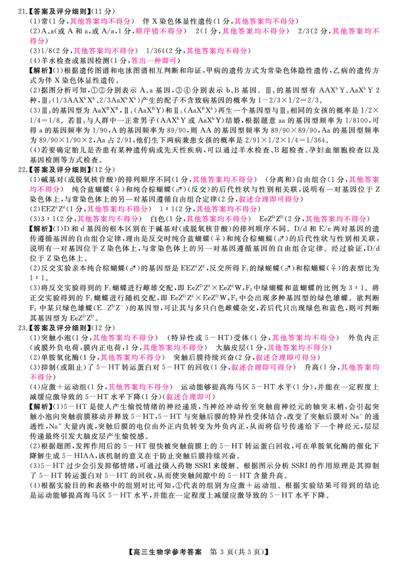 生物答案_2024-2025高三（6-6月题库）_2024年11月试卷_1121河南省金科新未来大联考2024-2025学年高三上学期11月质量检测_河南省金科新未来大联考2024-2025学年高三上学期11月生物