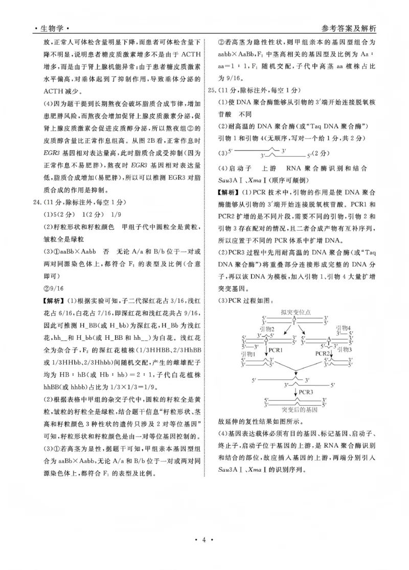 辽宁名校联盟2025-2026学年高三上学期1月期末考试生物答案_2024-2026高三（6-6月题库）_2026年01月高三试卷_0116辽宁名校联盟2025-2026学年高三上学期1月期末考试（全）