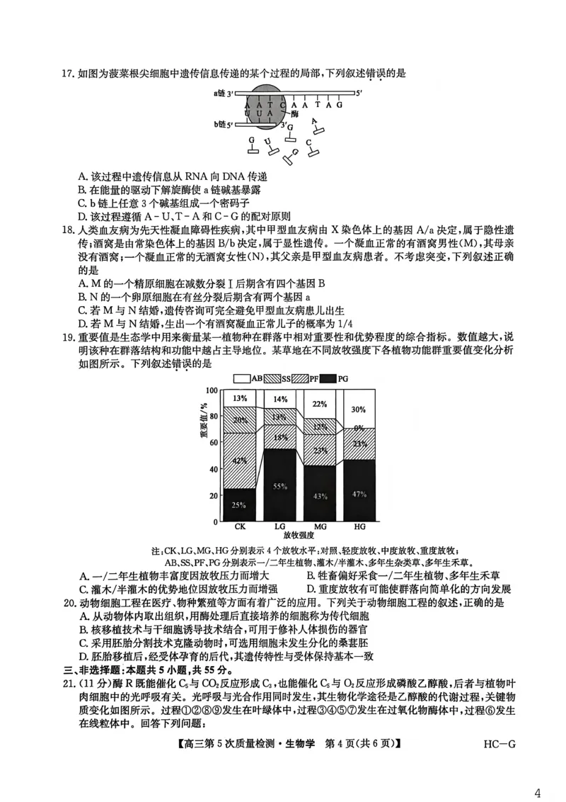 九师联盟2026届高三上学期第五次质量检测生物(HC-G)_2024-2026高三（6-6月题库）_2026年01月高三试卷_0109九师联盟2026届高三上学期第五次质量检测（全）