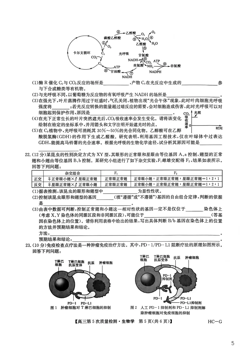 九师联盟2026届高三上学期第五次质量检测生物(HC-G)_2024-2026高三（6-6月题库）_2026年01月高三试卷_0109九师联盟2026届高三上学期第五次质量检测（全）