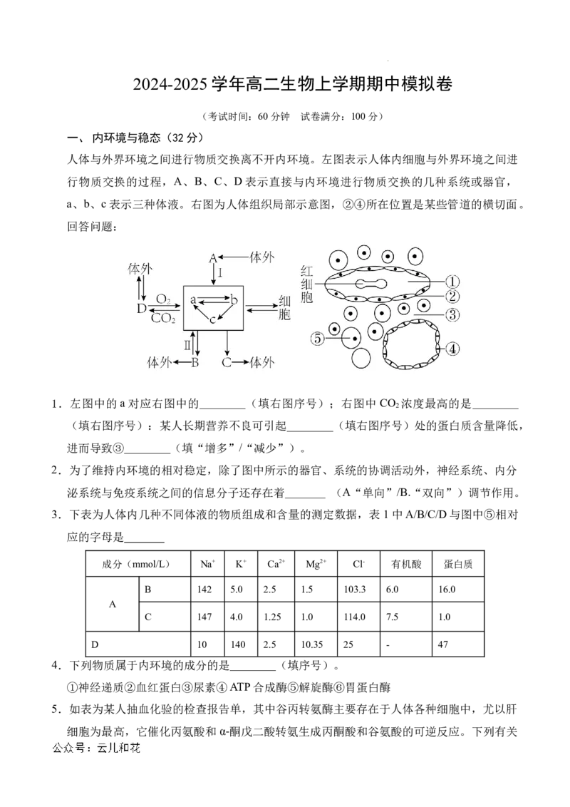 高二生物期中模拟卷（考试版A4）（上海专用）_2024-2025高二（7-7月题库）_2024年10月试卷_1021高二期中模拟卷（上海专用）黄金卷：2024-2025学年高二上学期期中模拟考试