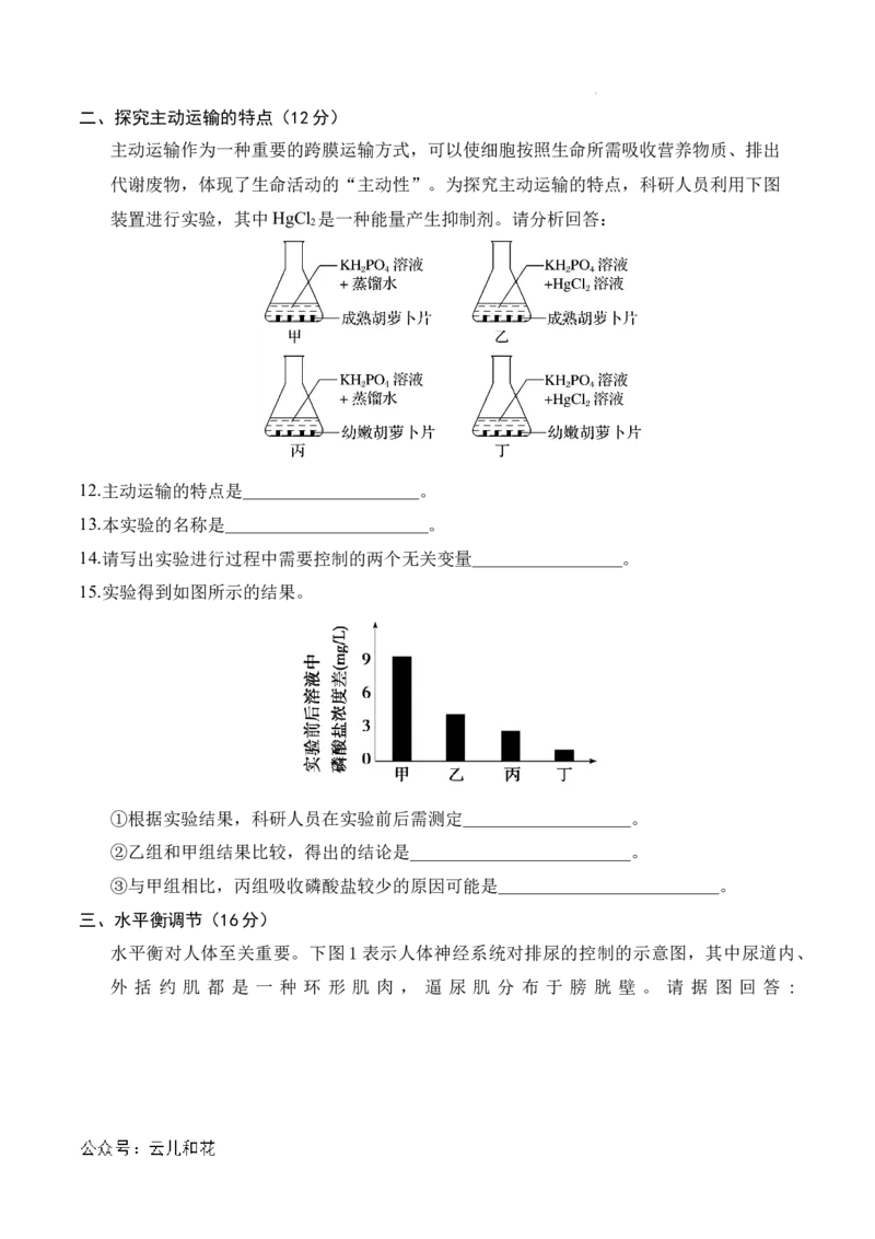 高二生物期中模拟卷（考试版A4）（上海专用）_2024-2025高二（7-7月题库）_2024年10月试卷_1021高二期中模拟卷（上海专用）黄金卷：2024-2025学年高二上学期期中模拟考试