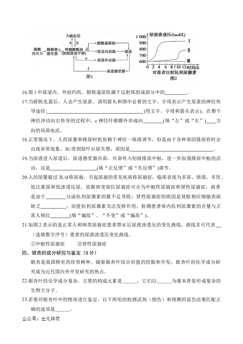 高二生物期中模拟卷（考试版A4）（上海专用）_2024-2025高二（7-7月题库）_2024年10月试卷_1021高二期中模拟卷（上海专用）黄金卷：2024-2025学年高二上学期期中模拟考试