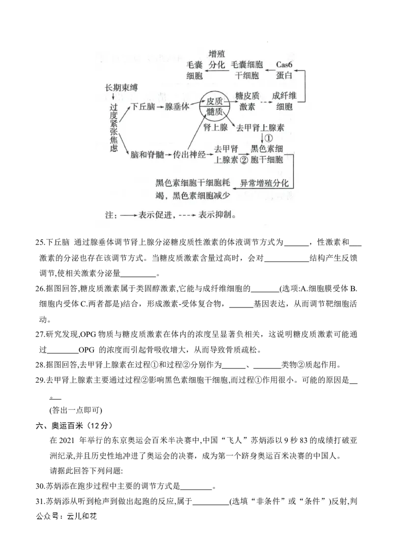 高二生物期中模拟卷（考试版A4）（上海专用）_2024-2025高二（7-7月题库）_2024年10月试卷_1021高二期中模拟卷（上海专用）黄金卷：2024-2025学年高二上学期期中模拟考试