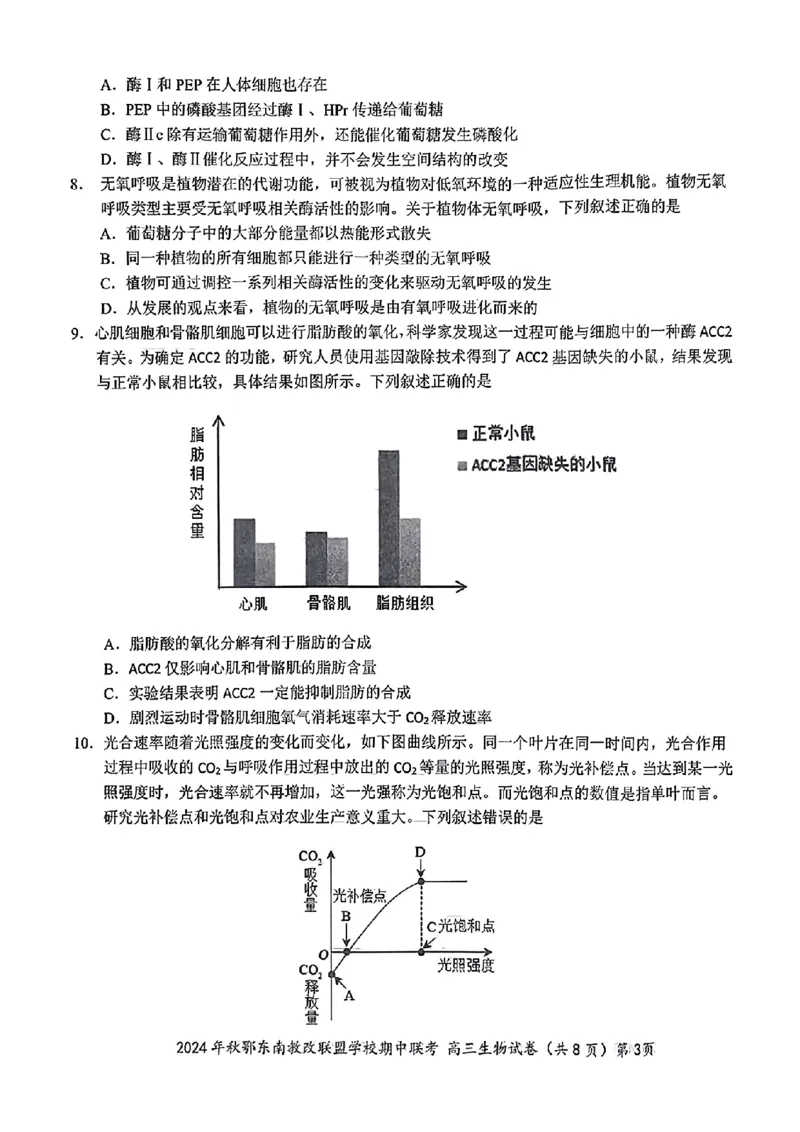 鄂东南期中联考高三生物试卷_2024-2025高三（6-6月题库）_2024年11月试卷_11062025届湖北省鄂东南示范高中高三11月期中联考_生物