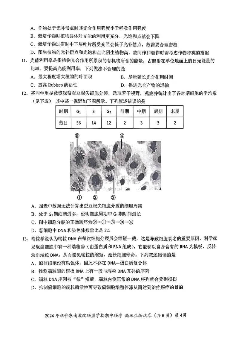 鄂东南期中联考高三生物试卷_2024-2025高三（6-6月题库）_2024年11月试卷_11062025届湖北省鄂东南示范高中高三11月期中联考_生物