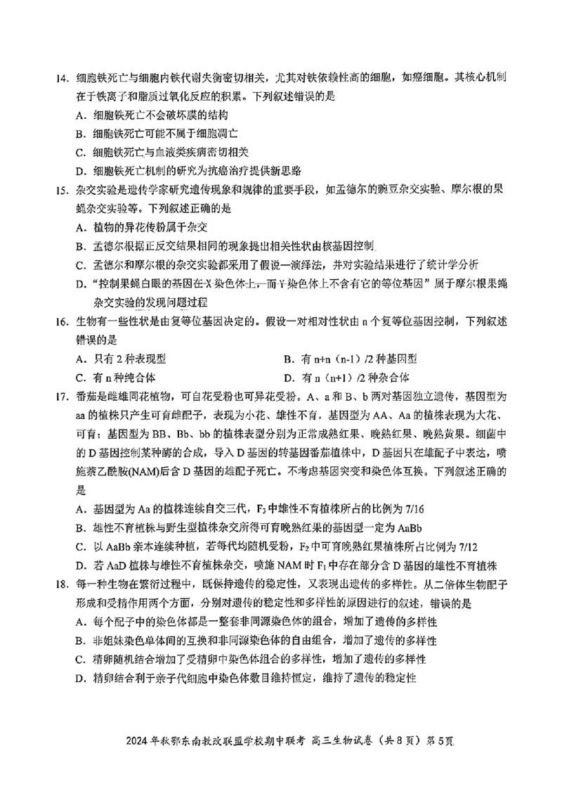 鄂东南期中联考高三生物试卷_2024-2025高三（6-6月题库）_2024年11月试卷_11062025届湖北省鄂东南示范高中高三11月期中联考_生物