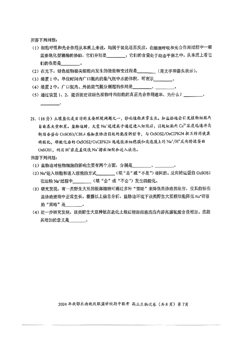 鄂东南期中联考高三生物试卷_2024-2025高三（6-6月题库）_2024年11月试卷_11062025届湖北省鄂东南示范高中高三11月期中联考_生物