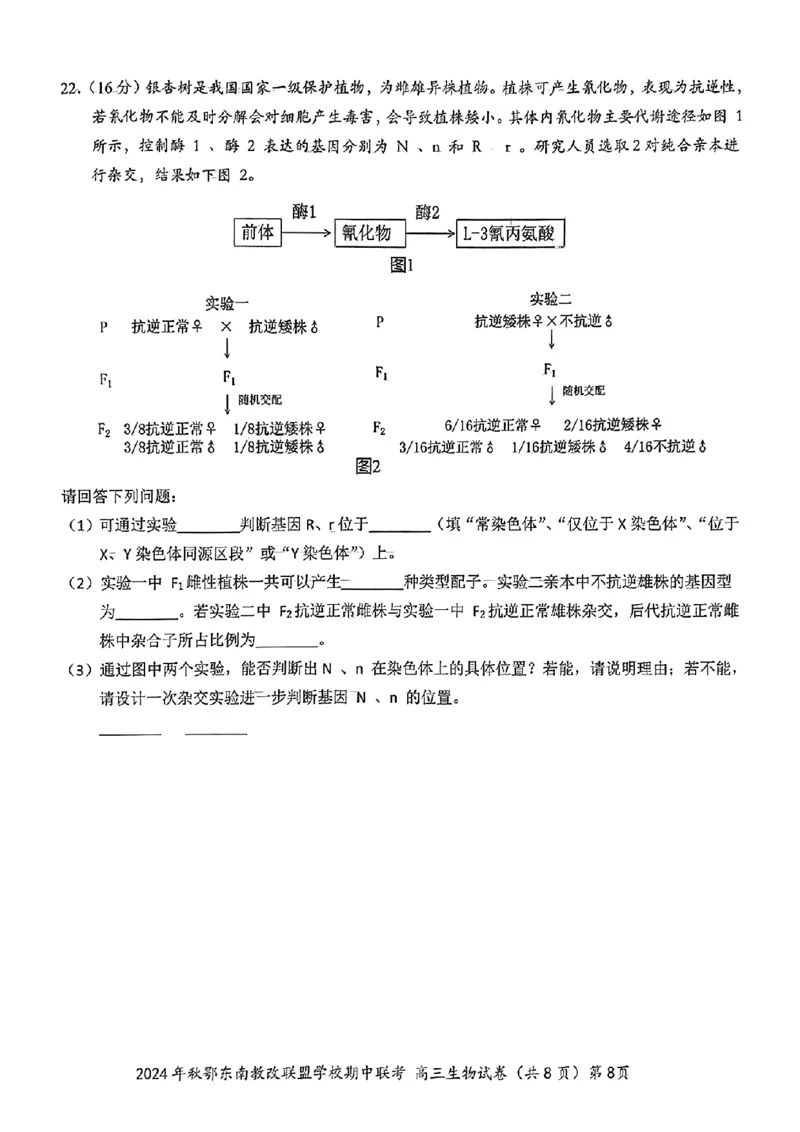 鄂东南期中联考高三生物试卷_2024-2025高三（6-6月题库）_2024年11月试卷_11062025届湖北省鄂东南示范高中高三11月期中联考_生物